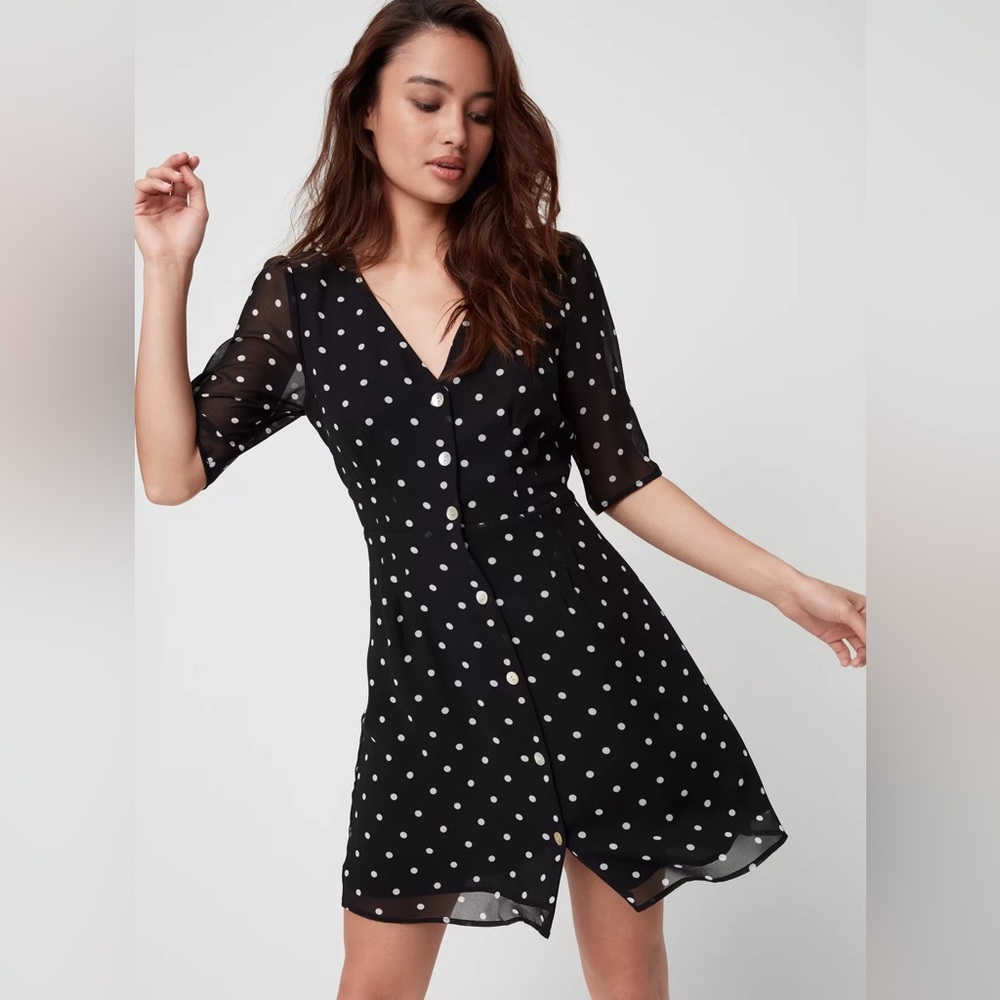 Aritzia Button Front Dress